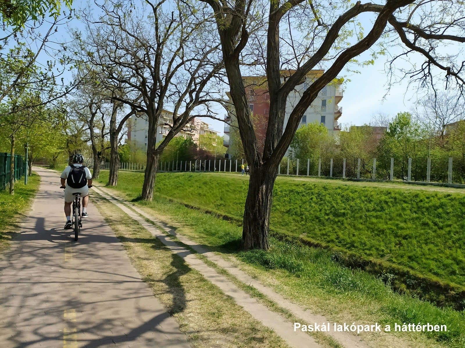 Szuglo shared space 14